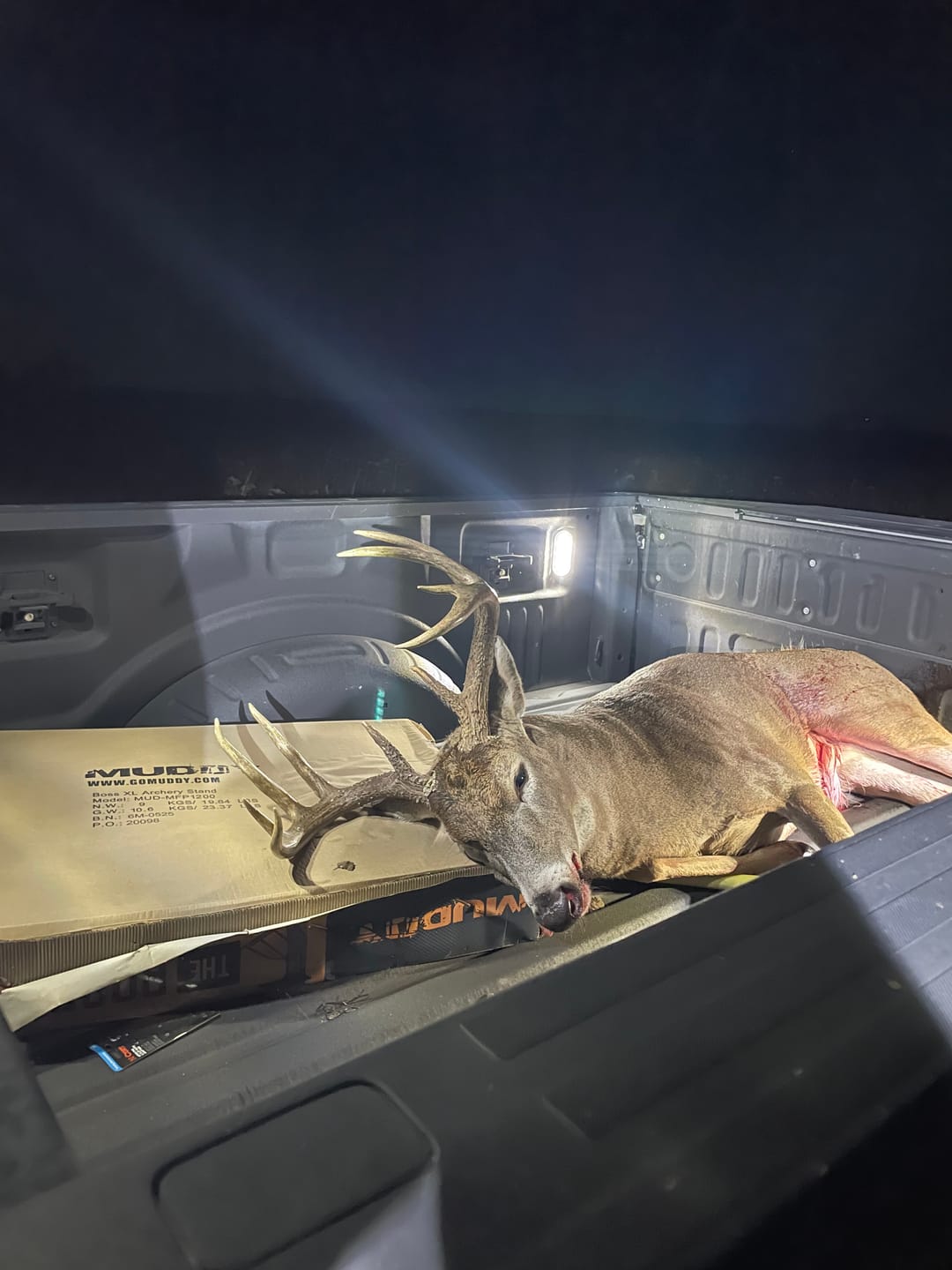 Customer photo review of Titanium Broadheads