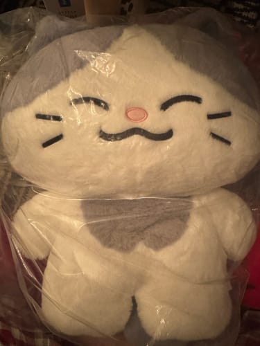 Customer photo review of [Ships Immediately] NCT DREAM - Dreamiez's Dream Forest Popup MD