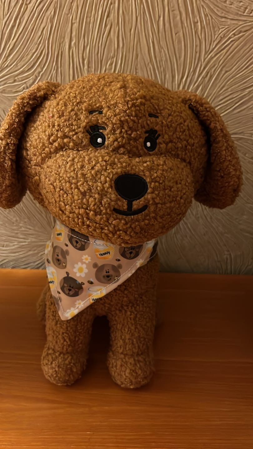 Customer photo review of Toy Lilo Plushie