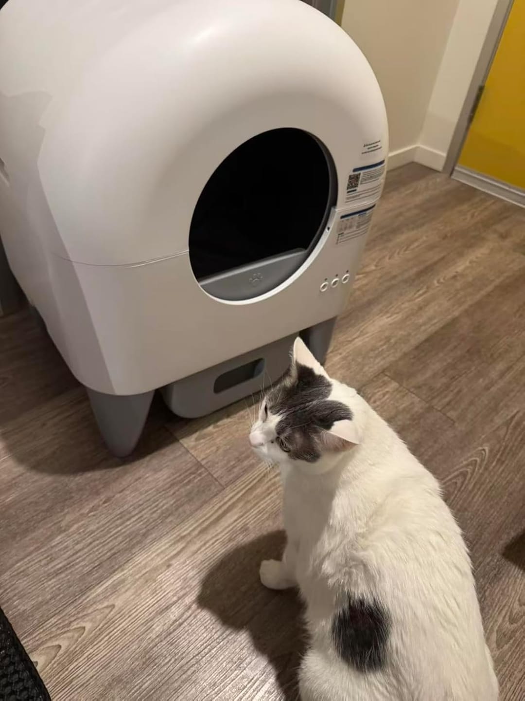 Customer photo review of Cumrige M4 Self-Cleaning Litter Box | Smart Odor-Control Automatic Cat Litter Box