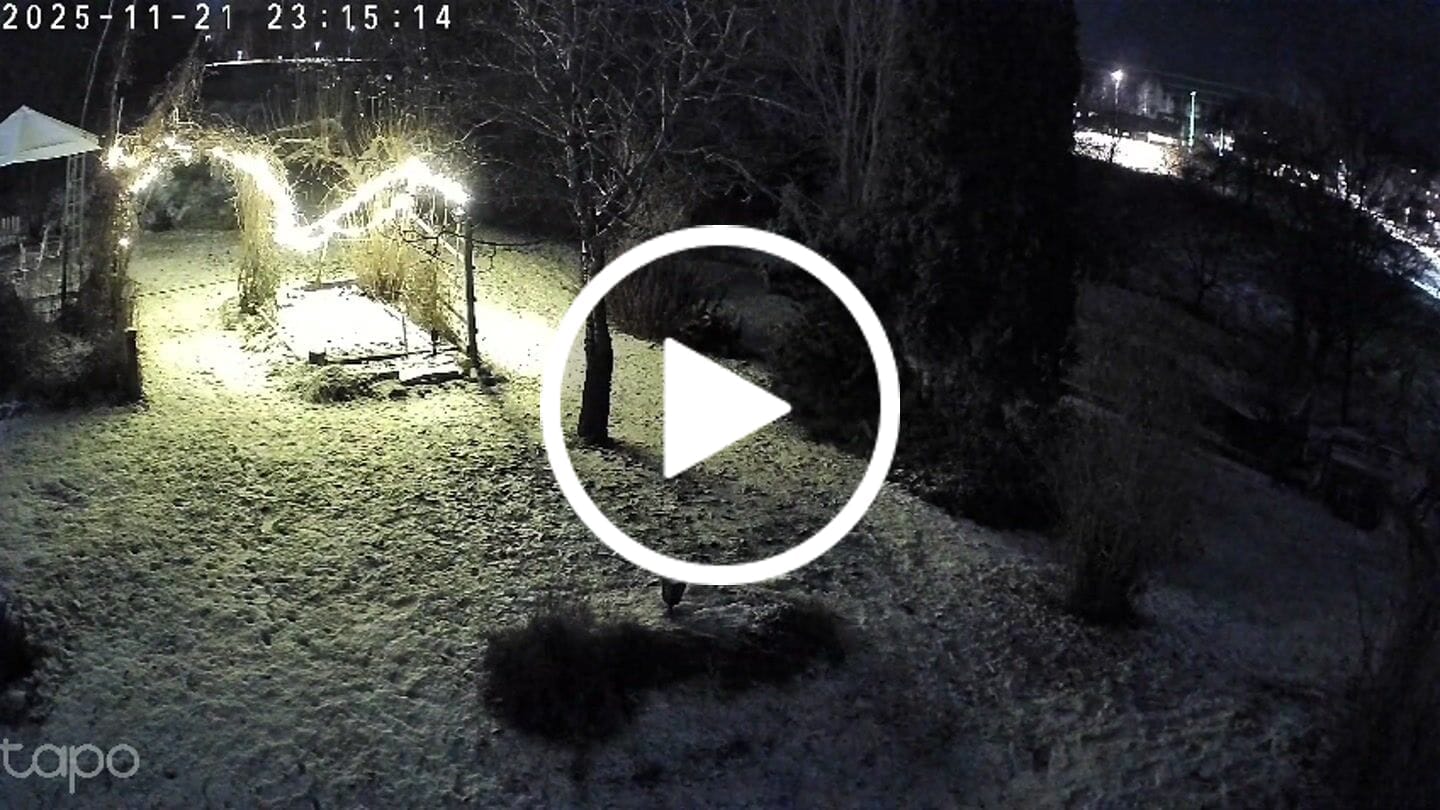 Customer video review of ViltVakten™ – Effektiv Viltskrämma som Skrämmer Bort Vildsvin, Rådjur mm