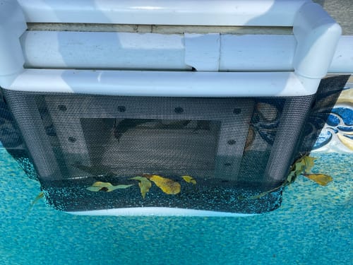 Customer photo review of Skimmer Saver