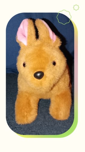 Customer photo review of Brenda the Bunny