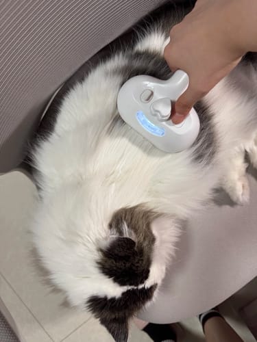 Customer photo review of WPJP ミストグルーマー