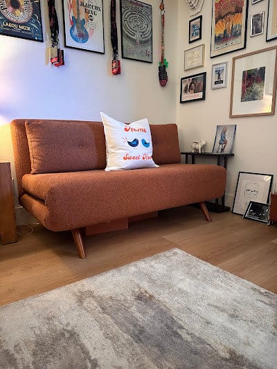 Customer photo review of Napa Armless Sofa Bed