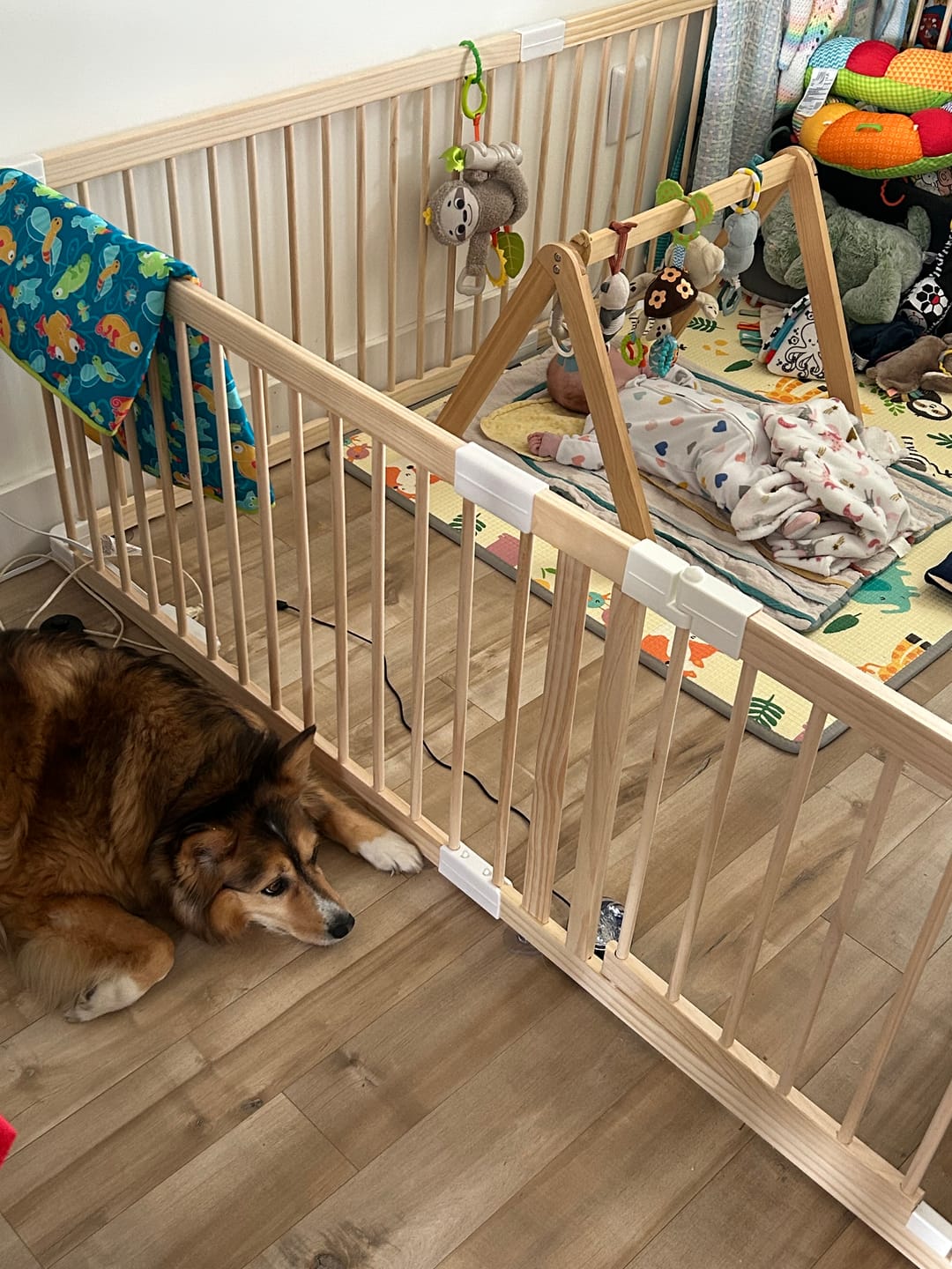 Customer photo review of HARPPA Grovi | Baby Gate Playpen & Fence for Babies and Toddlers