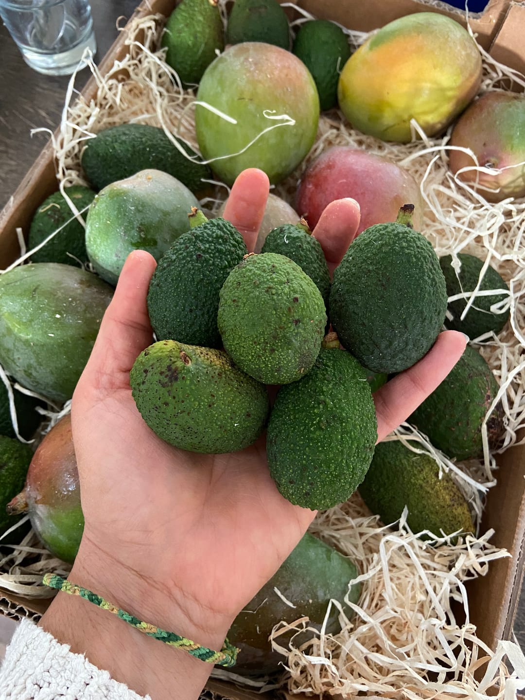 Customer photo review of Mini Mango & Avocado Rettungsaktion