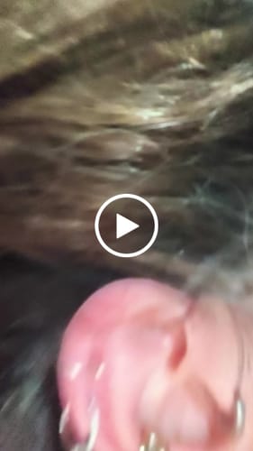 Customer video review of Orecchino Cerchietto + Earcuff con Zirconi e Pendenti