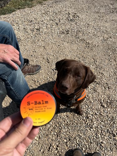 Customer photo review of F-Balm - Premium Anti-aging Tallow Balm - 2 oz.