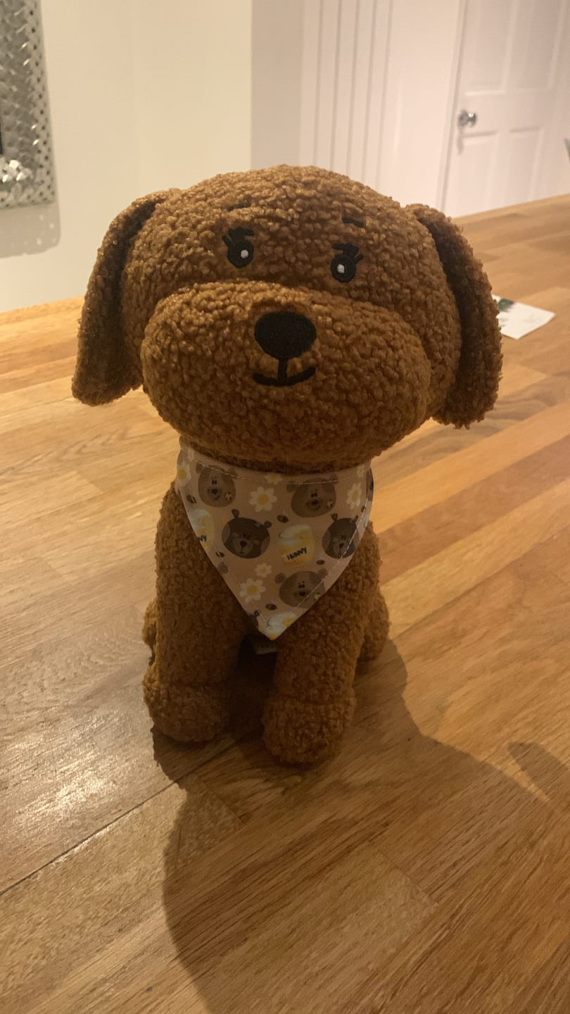 Customer photo review of Toy Lilo Plushie