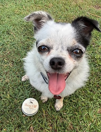 Jo review of Byronz Buzz Off Balm image 1 out of 1