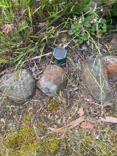 Customer photo review of PestGuard Pro Solar Snake Repellent