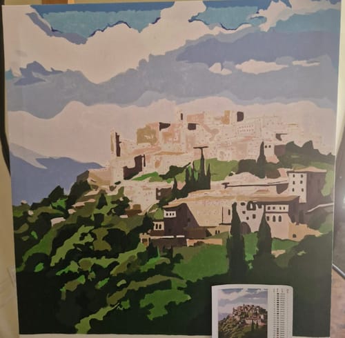 Customer photo review of Custom Landscape Paint By Numbers