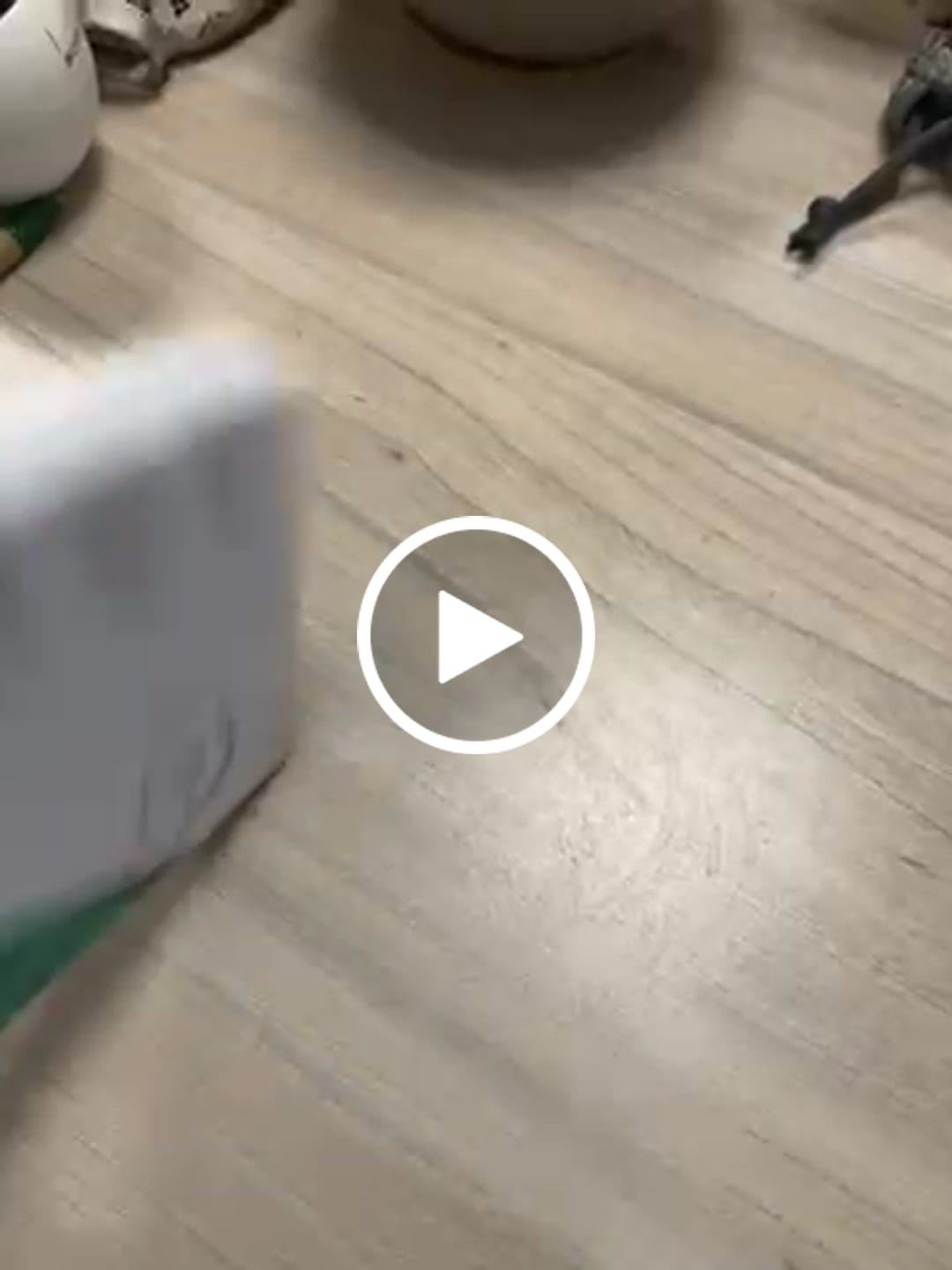 Customer video review of Tableta de Chocolate Leche Vegano
