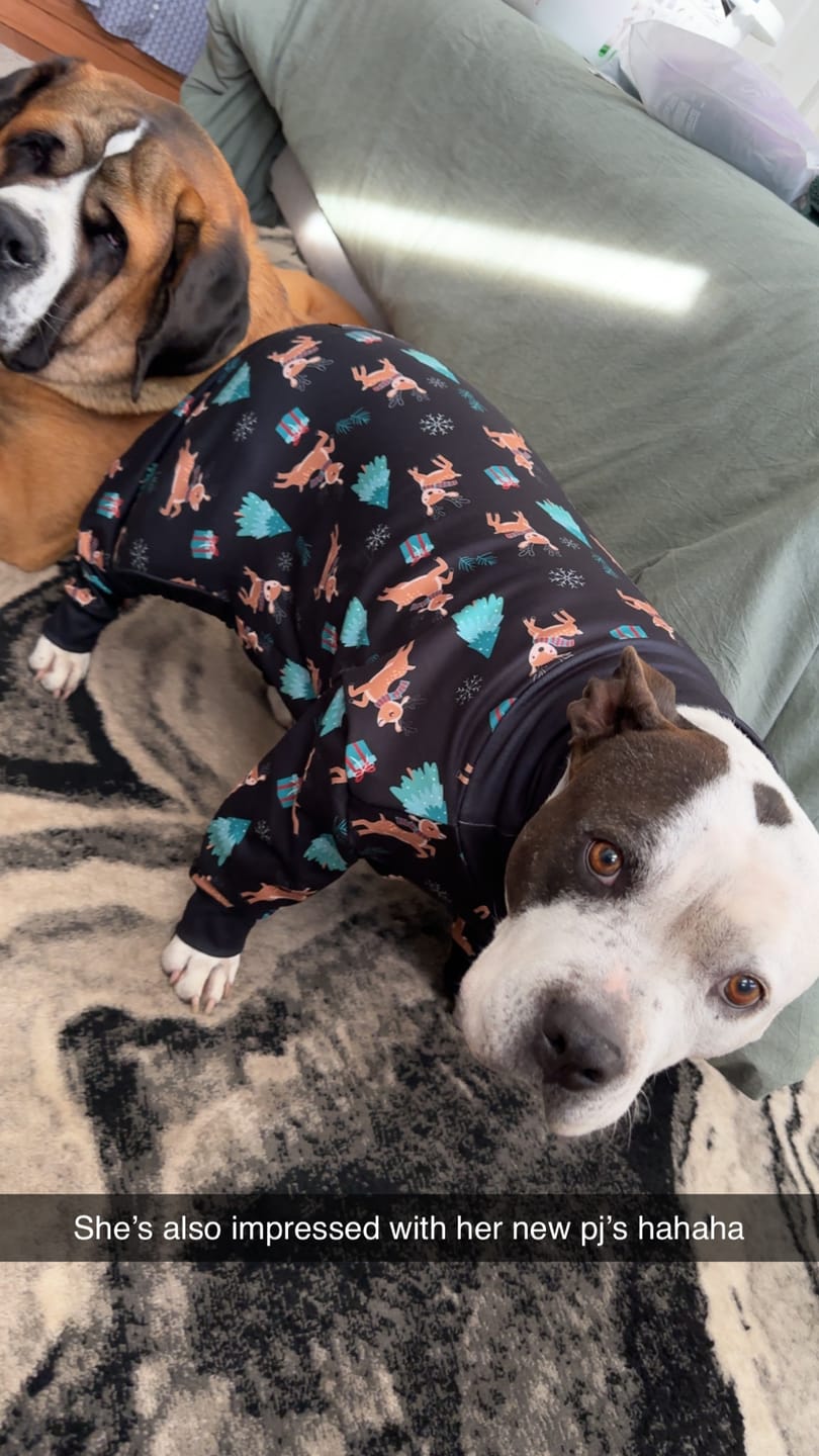 Customer photo review of Dog Christmas Pajama - Reindeers