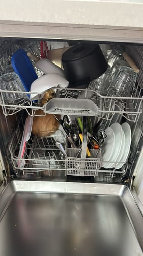 Customer photo review of דפי ניקוי למדיח