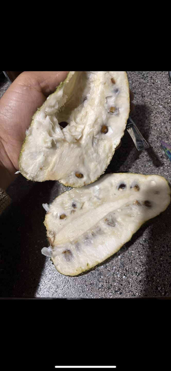 Customer photo review of Premium Soursop (Guanabana)