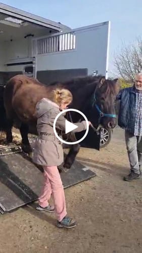 Customer video review of Wurmtest Pro Pferd