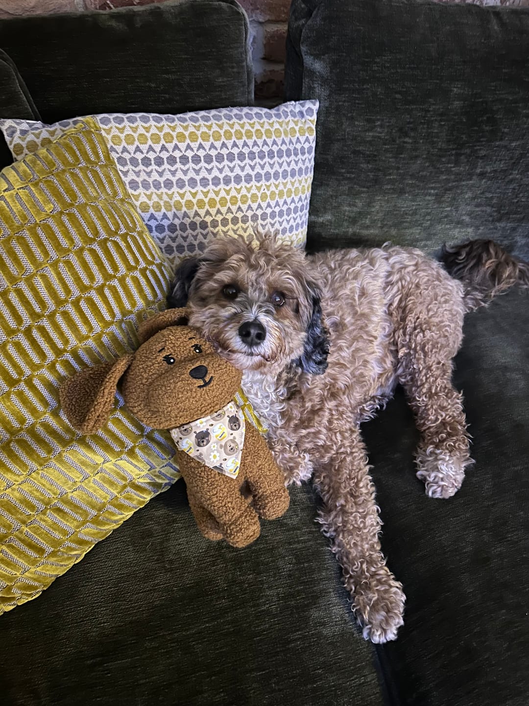 Customer photo review of Toy Lilo Plushie