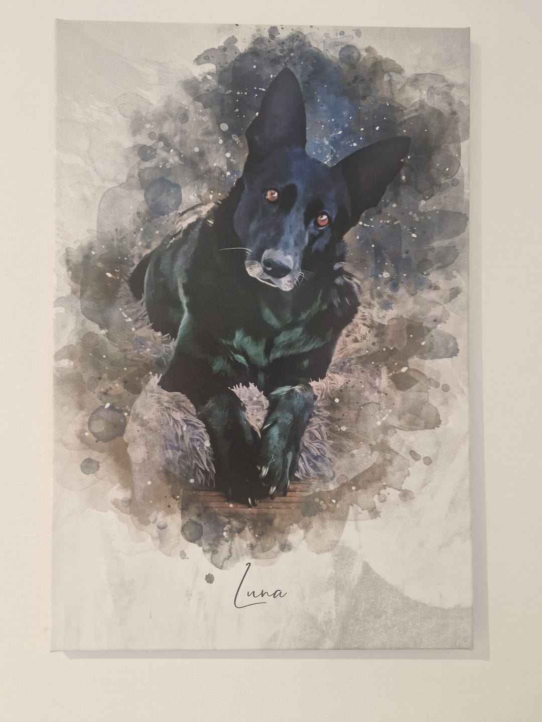 Customer photo review of Dein Hund als Aquarell Tierportrait | Geschenk für Hundebesitzer