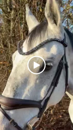 Customer video review of Stirnriemen auf Wunsch