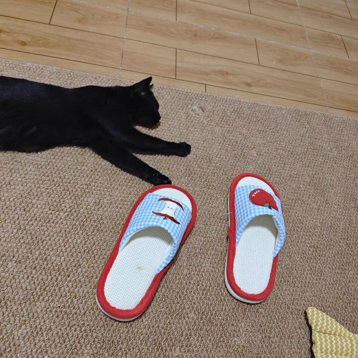 Customer photo review of The Apple Bite Slippers