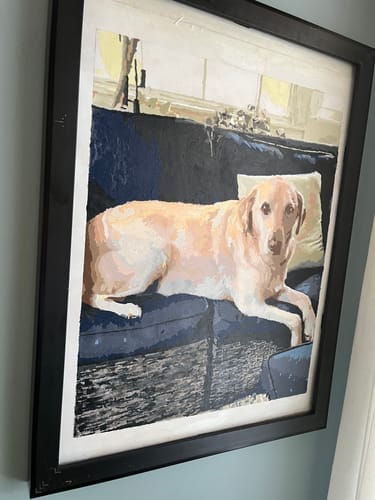 Customer photo review of Custom Pet Paint By Numbers