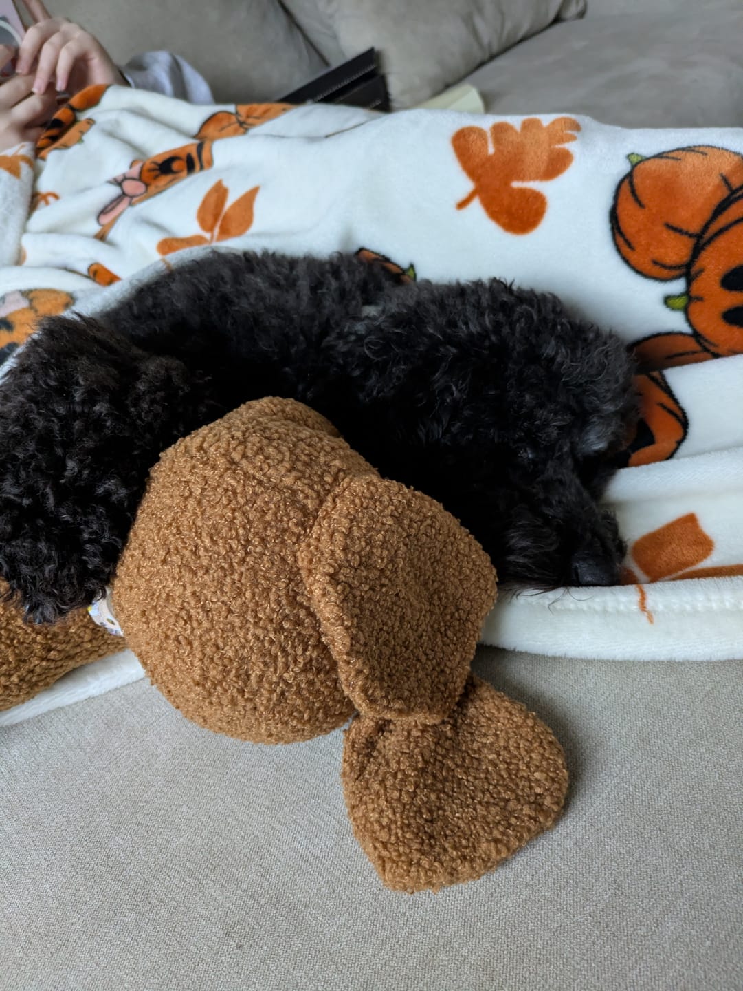 Customer photo review of Toy Lilo Plushie