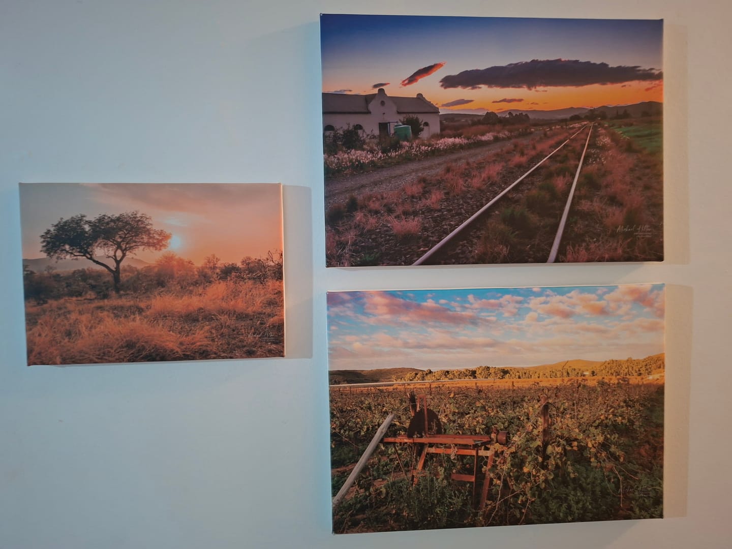 Customer photo review of 11 Piece Canvas Combo