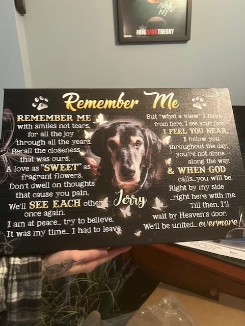 Customer photo review of Personalized Photo Canvas Prints, Custom Photo, Pet Loss Gifts, Memorial Gifts, Sympathy Gifts, Remember Me Dem Canvas