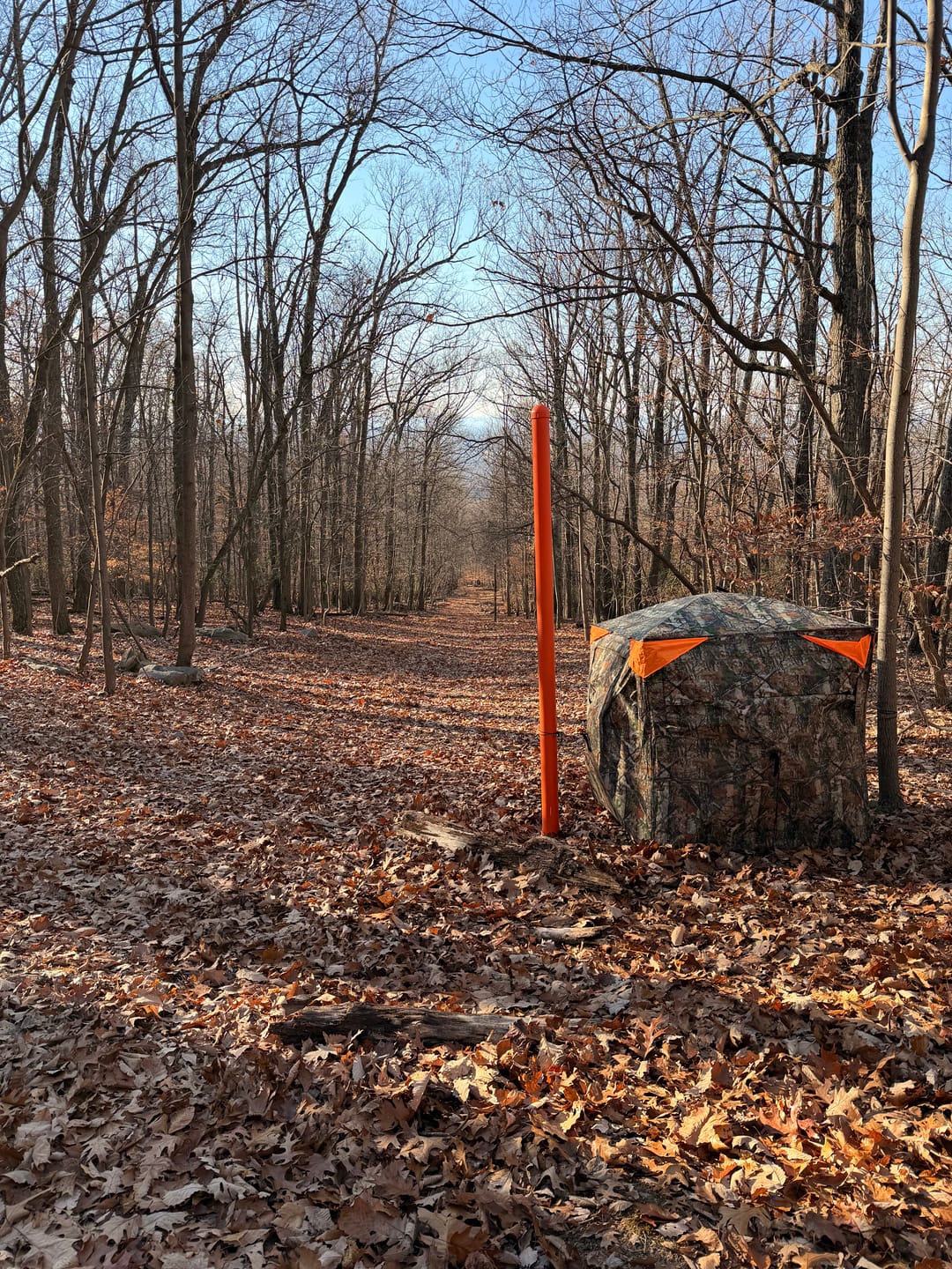 Customer photo review of Tidewe Vis360 See-Through Ground Blind for Deer/ Turkey Hunting (3-4 Person)