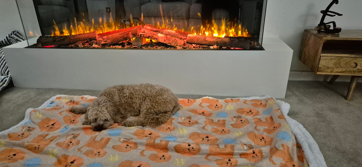 Customer photo review of Hooman Blankie - Curly Club Collection
