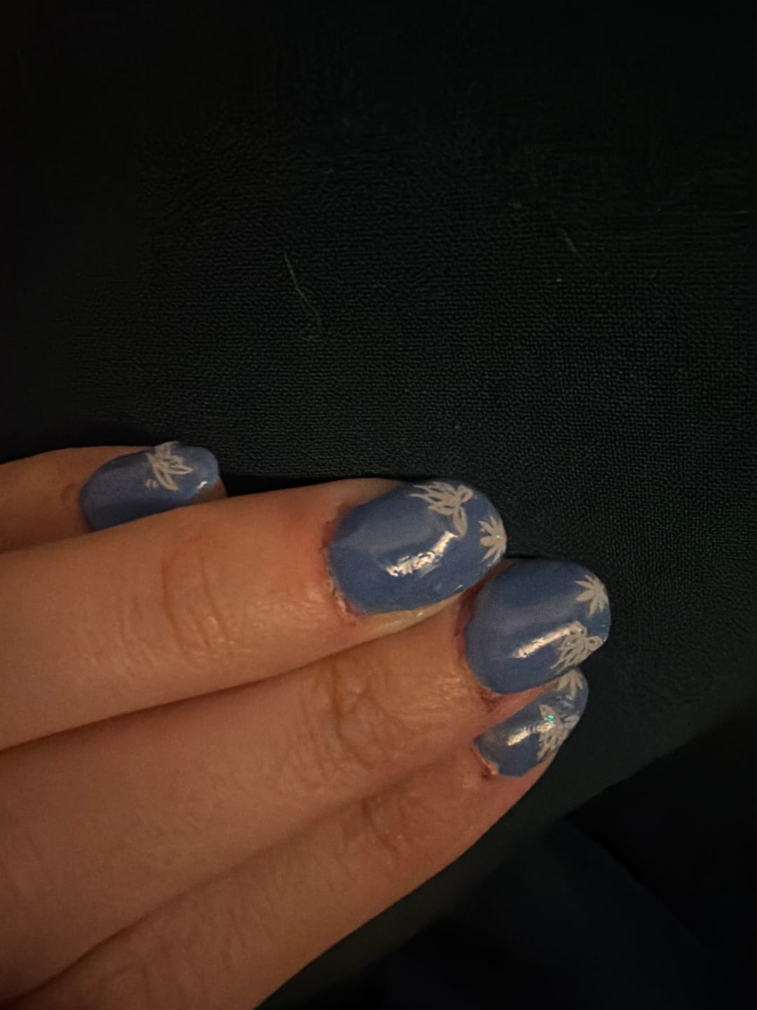 Customer photo review of Primer