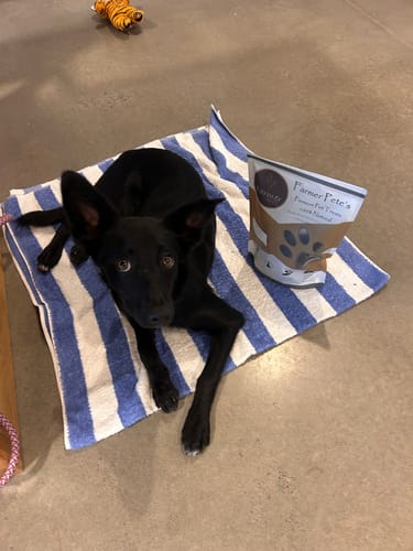 Customer photo review of Emu Jerky