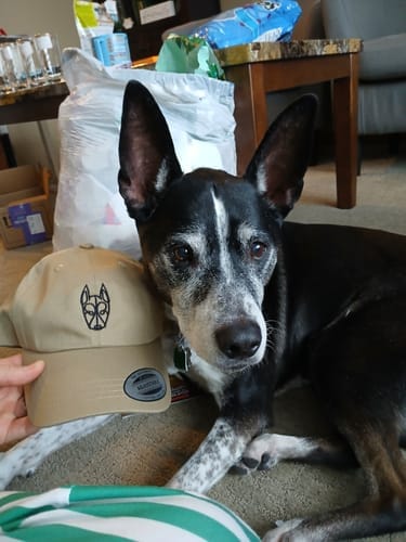 Customer photo review of Custom Embroidered Cap
