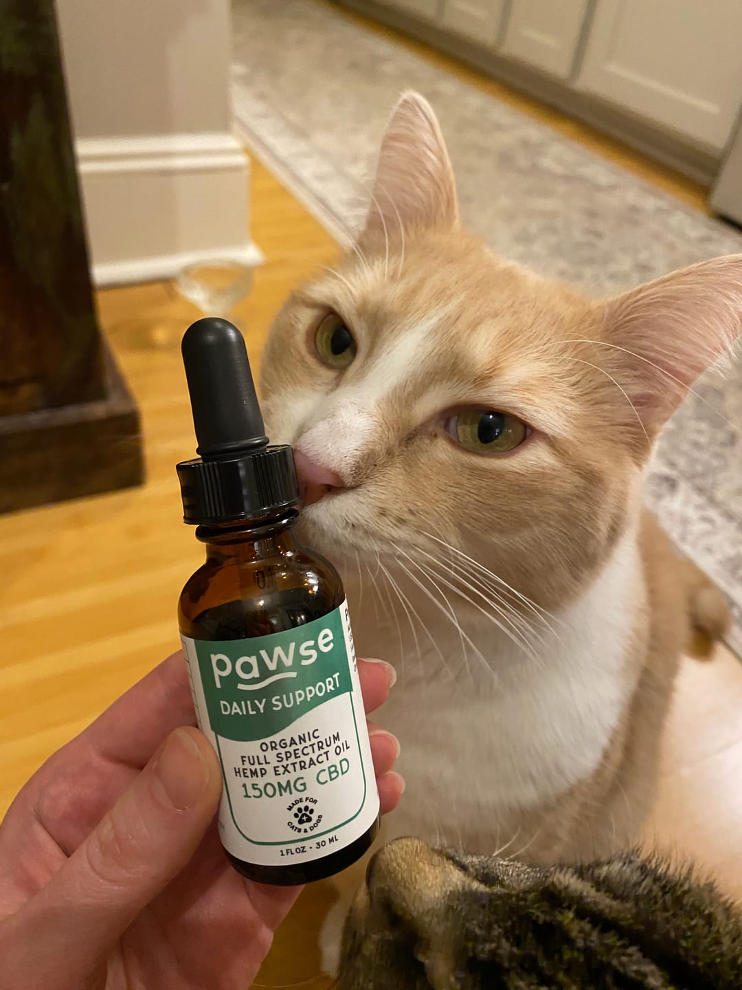 Customer photo review of Daily Support CBD Oil for Pets Under 20lbs