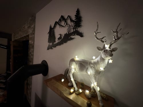 Customer photo review of Décoration Murale en Métal - Montagne et Cerf