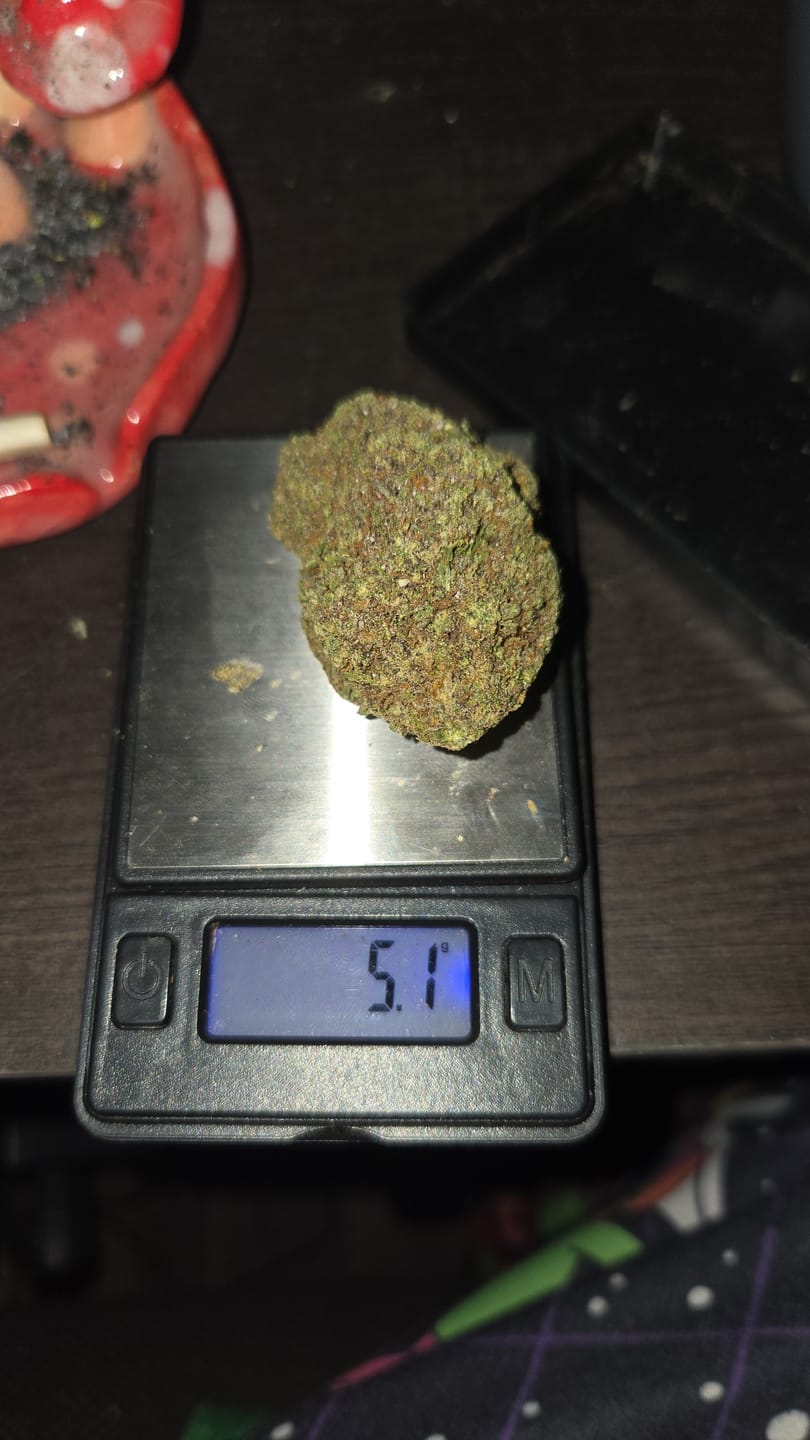 Customer photo review of Greenhouse THCa Flower