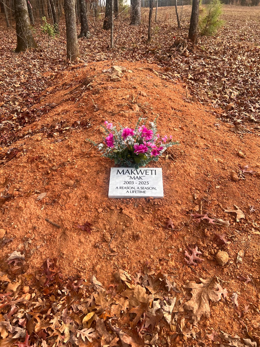 Customer photo review of Marble Marker, Pet headstones, Custom Outdoor Engraved In Loving Memory