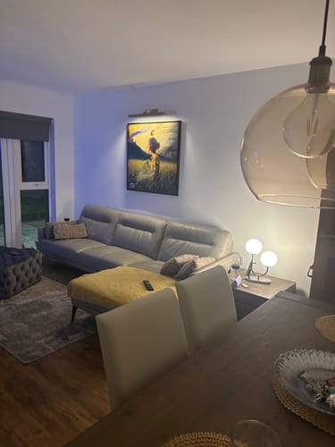 Customer photo review of Paveikslas “My Cage Is Empty My Bird Is Free”