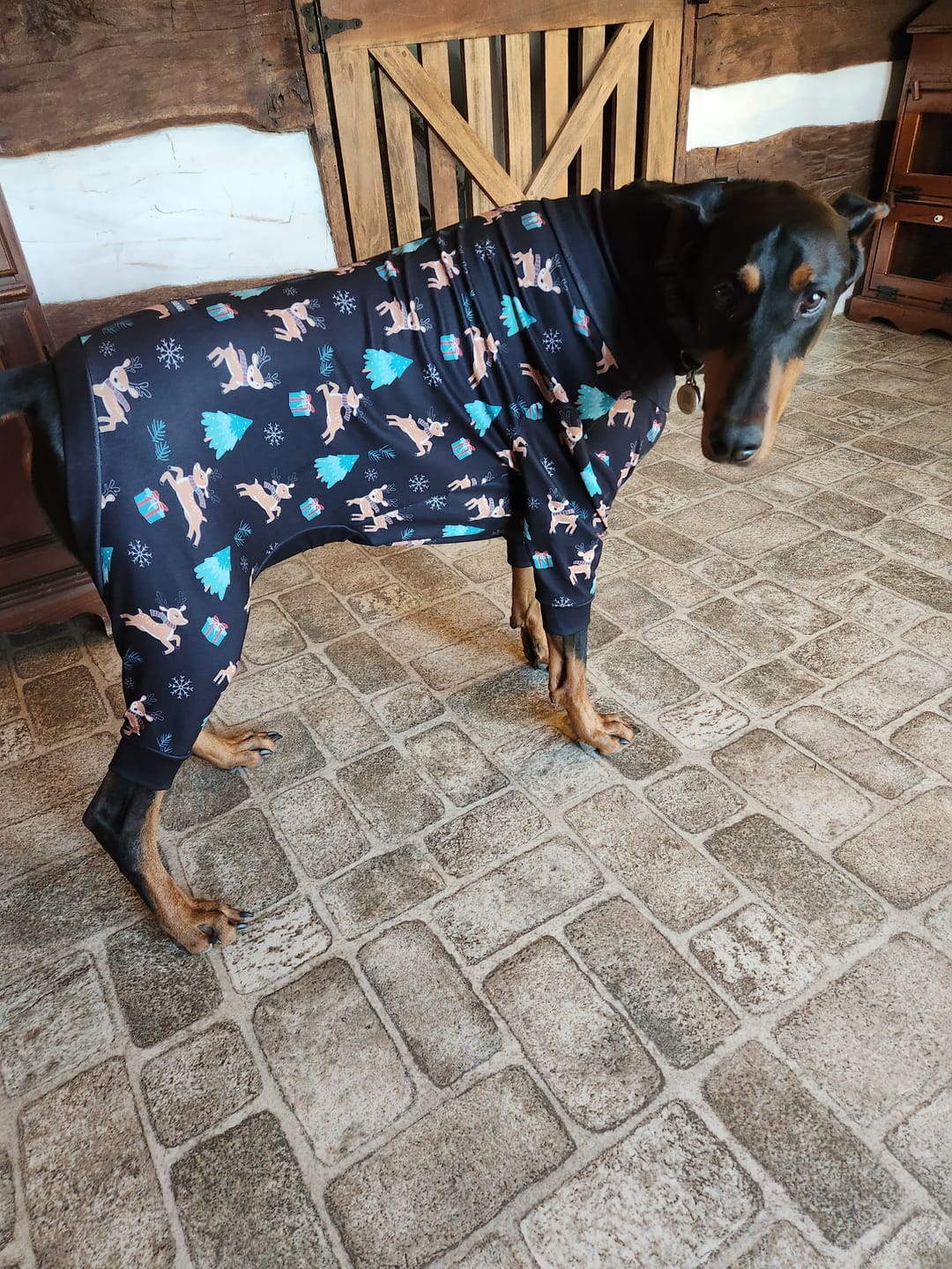 Customer photo review of Dog Christmas Pajama - Reindeers