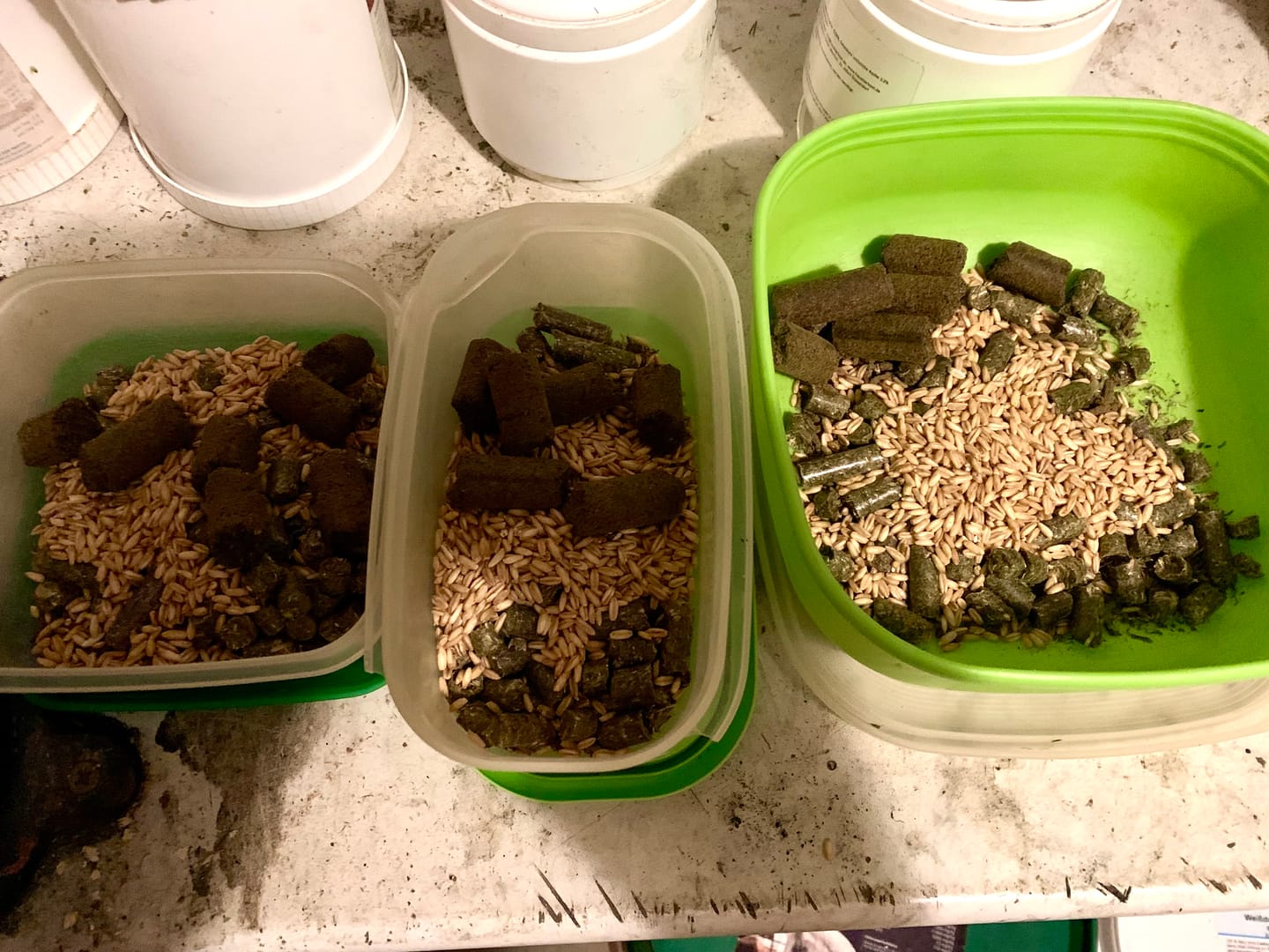 Customer photo review of PFERDESTARK Bio Hanfpellets für Pferde Pferdefutter 10kg Beutel