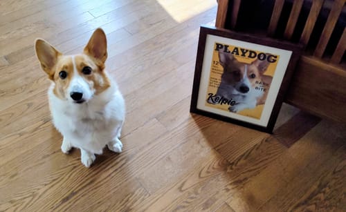 Customer photo review of Personalized Playdog Pet Face Magazine Cover