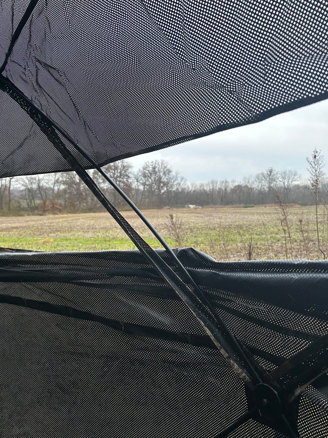 Customer photo review of Vis Series See Through Hunting Blind, Pop Up Ground Deer Blind
