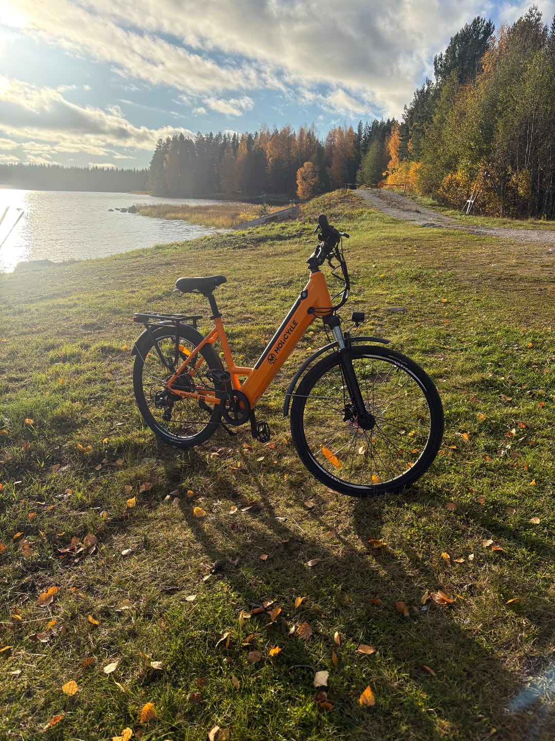 Customer photo review of Molicycle R1 250W 26" Electric City Bike 532Wh Battery with Torque Sensor 14.5Ah Support APP