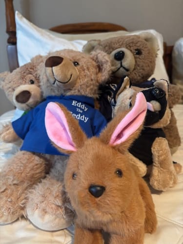 Customer photo review of Brenda the Bunny