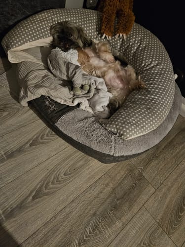 Customer photo review of Active Hips