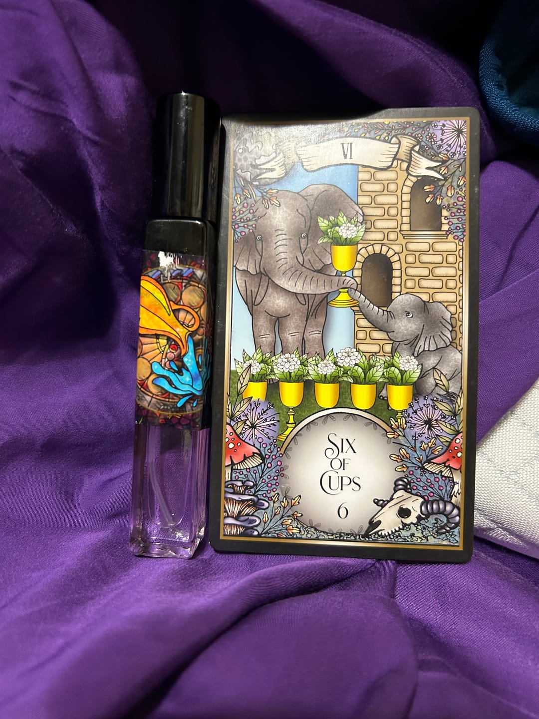 Customer photo review of Aquarius
