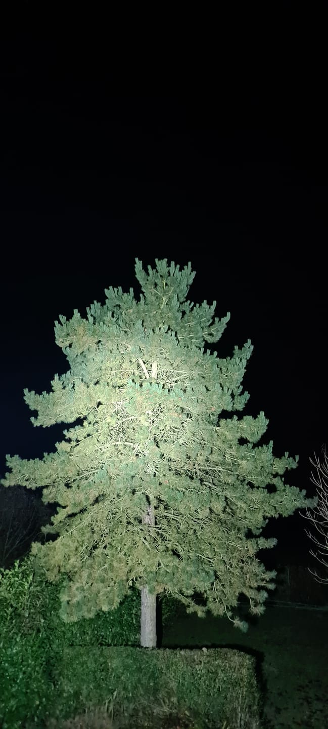 Customer photo review of Fenix LR35R Pro - Lampe de recherche super lumineuse - 10000 LUMENS
