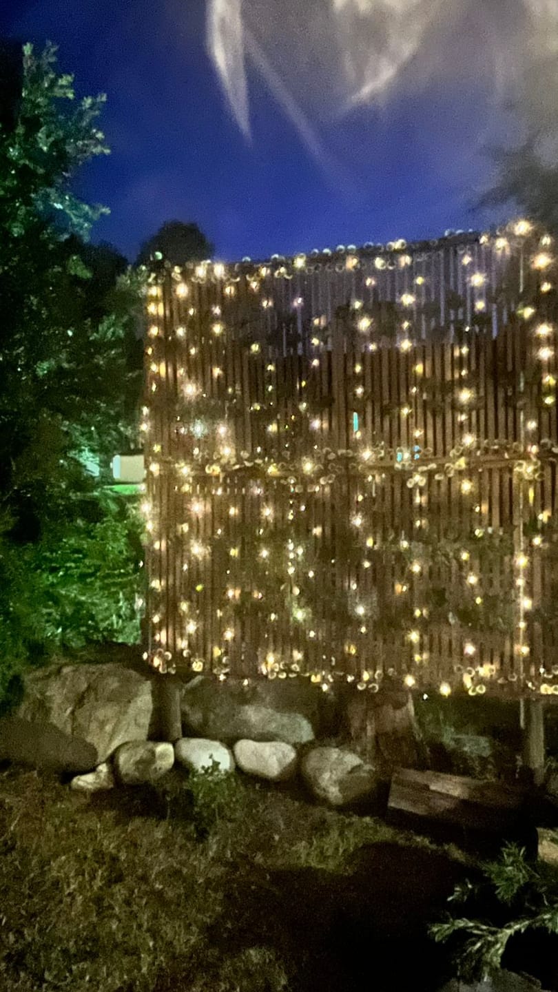 Customer photo review of Black String Solar Fairy Lights